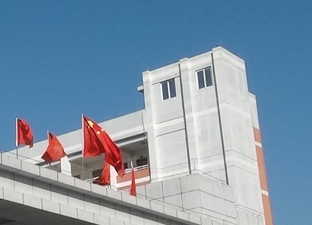 肉豆蔻的功效和作用